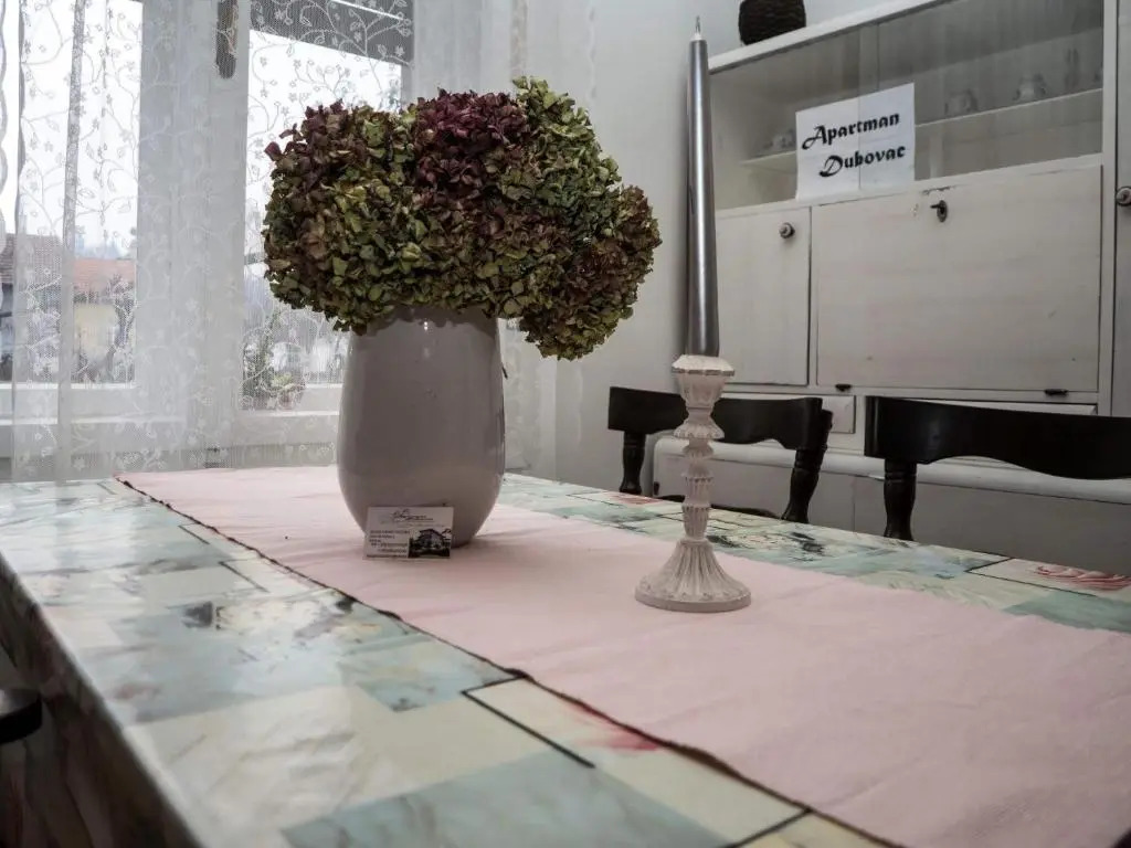 Apartment Dubovac