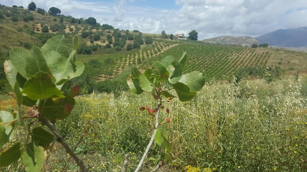 Agriturismo Gessi