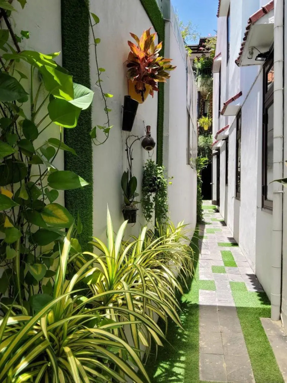 Bean Grass Homestay