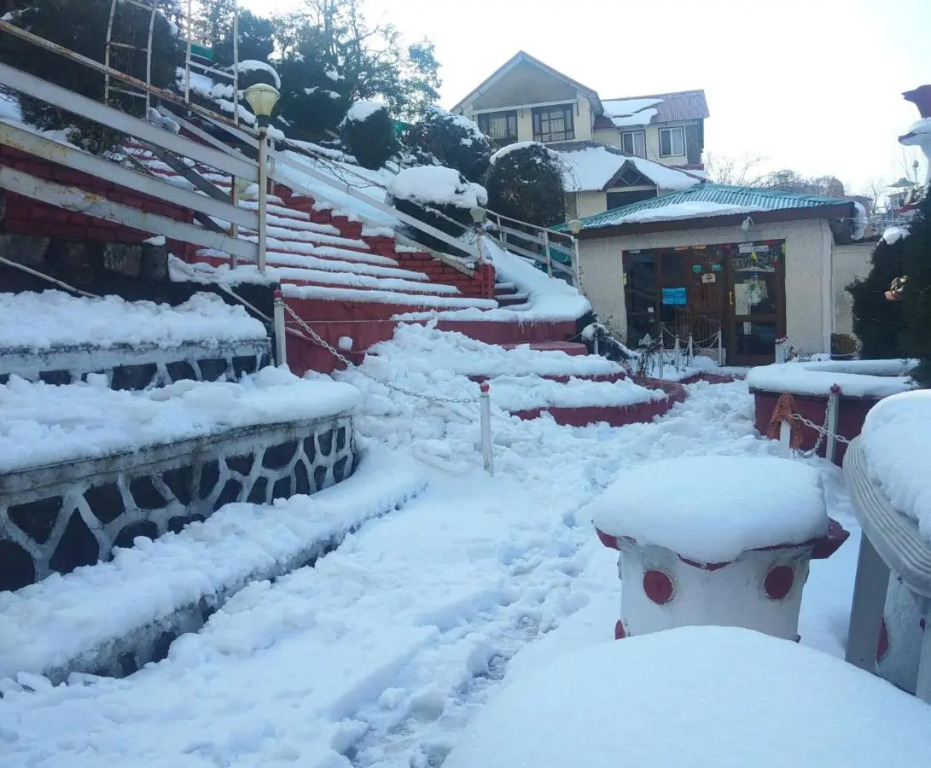 Hotel Victoriya Palace,Mcleod Ganj