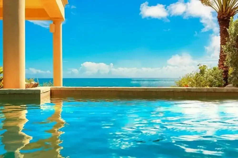 Anguilla's Bird of Paradise