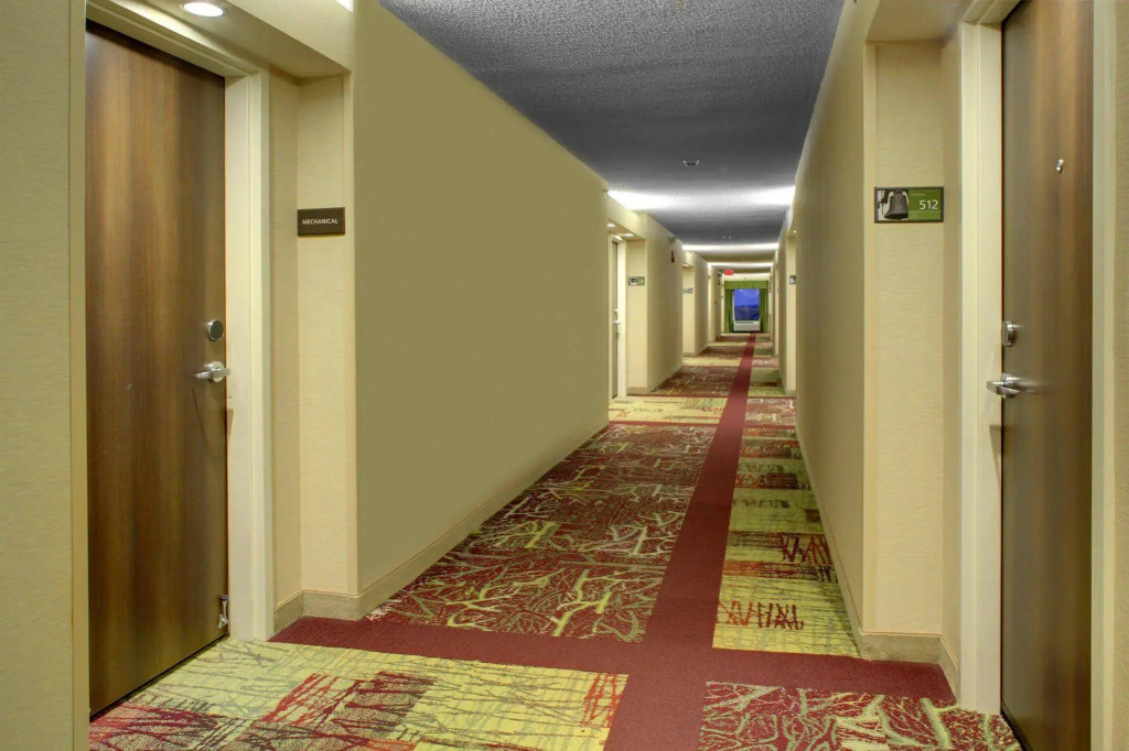 Hampton Inn Greenville/Woodruff Road