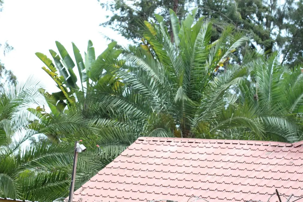 Tranquil homestays