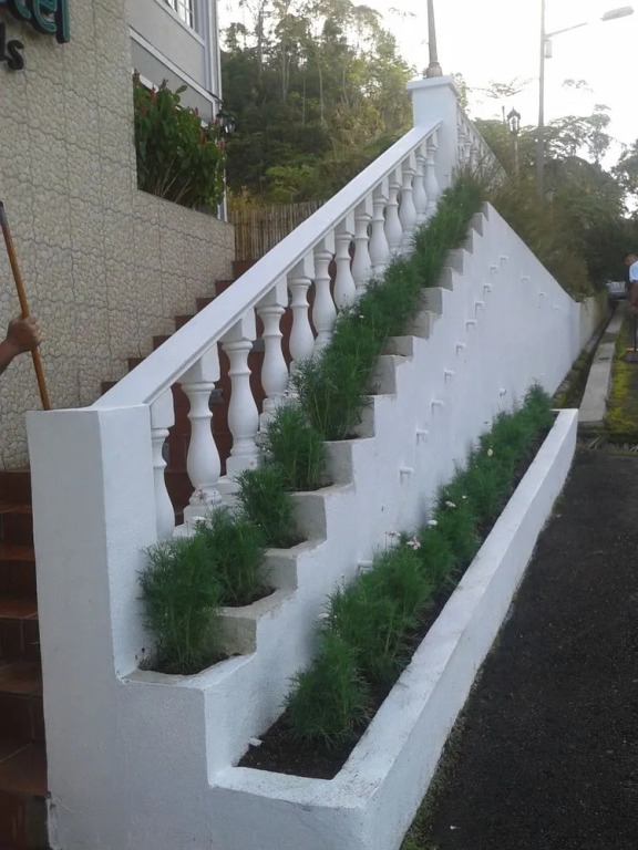 Bird's Nest Hotel