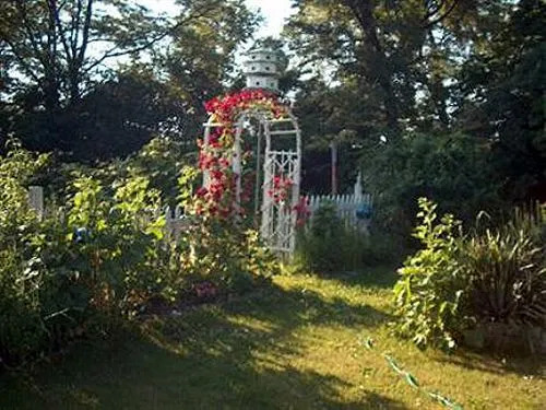 Big Oak B&B