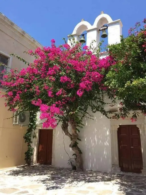 Evilou's House