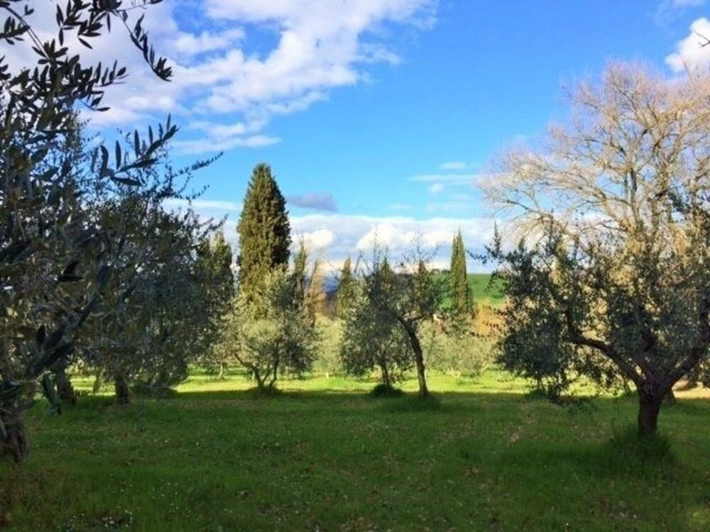 Poggio SantAngelo