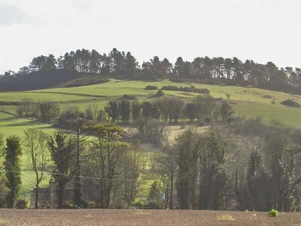 Whitey Top Lodge