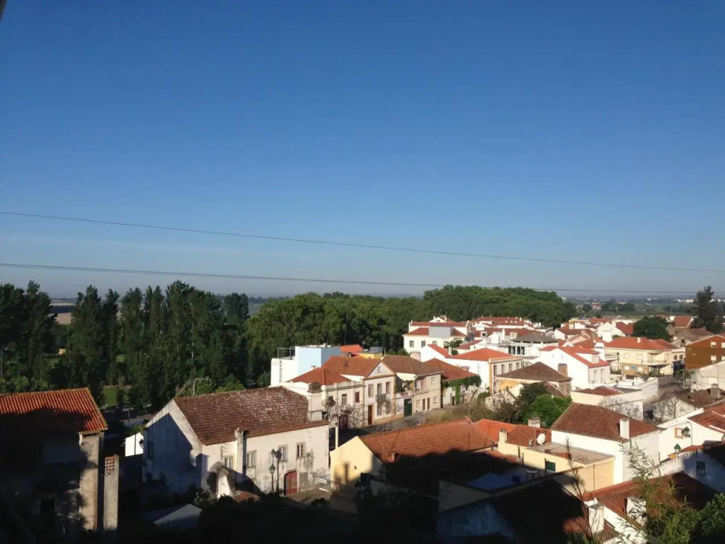 Soltejo