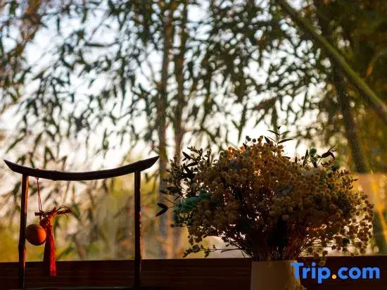 She County Taolu Jingshe Hui Culture Boutique Homestay