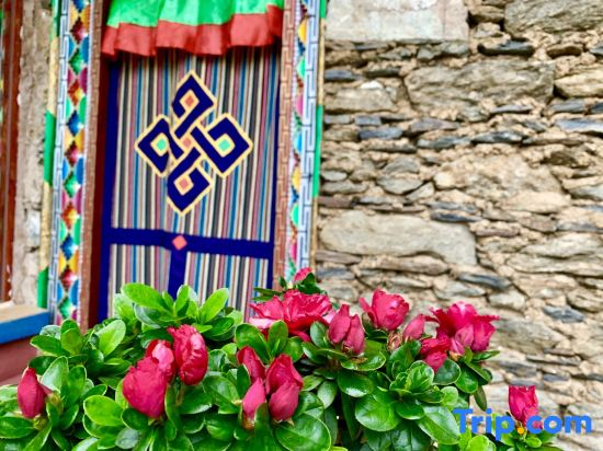 Guilan Xiaolu Hostel