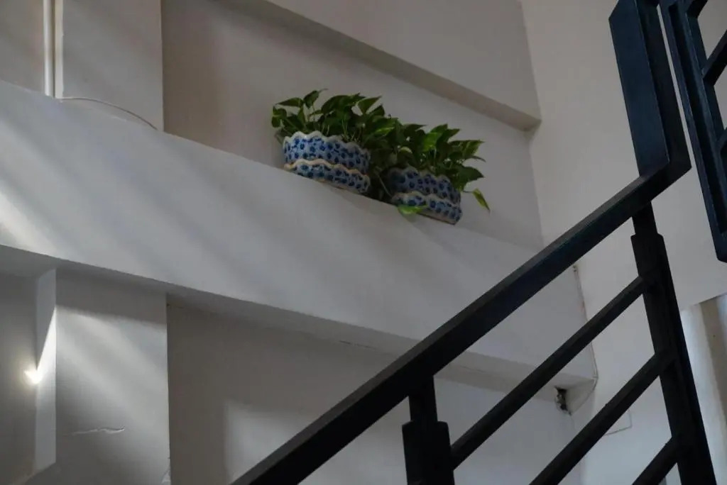 BacHuong Home
