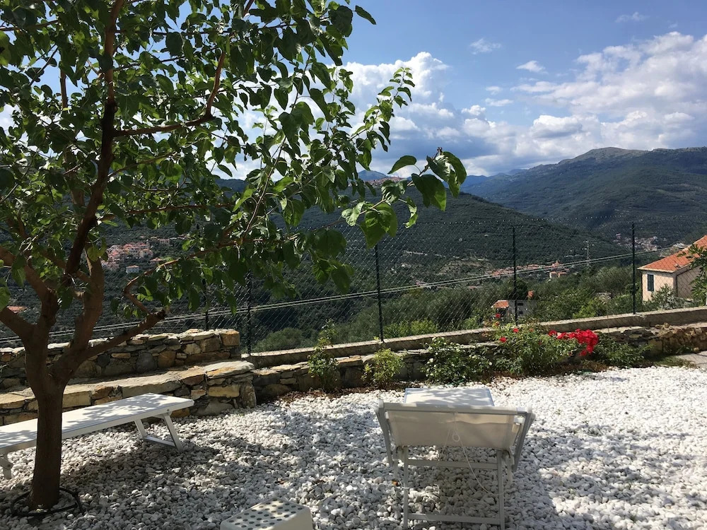 Fico Fiore