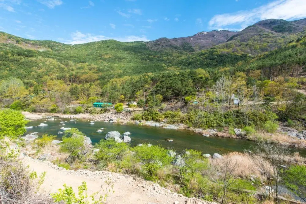 Nature and Human Pension