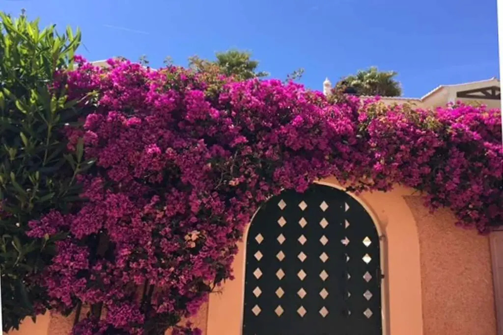 Vila Bela Nova Acácias 22
