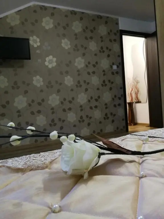 House Apartment Minerilor