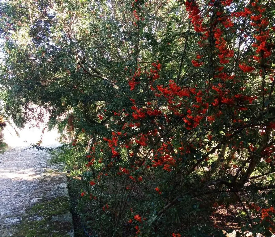 Agriturismo Pedru Caddu