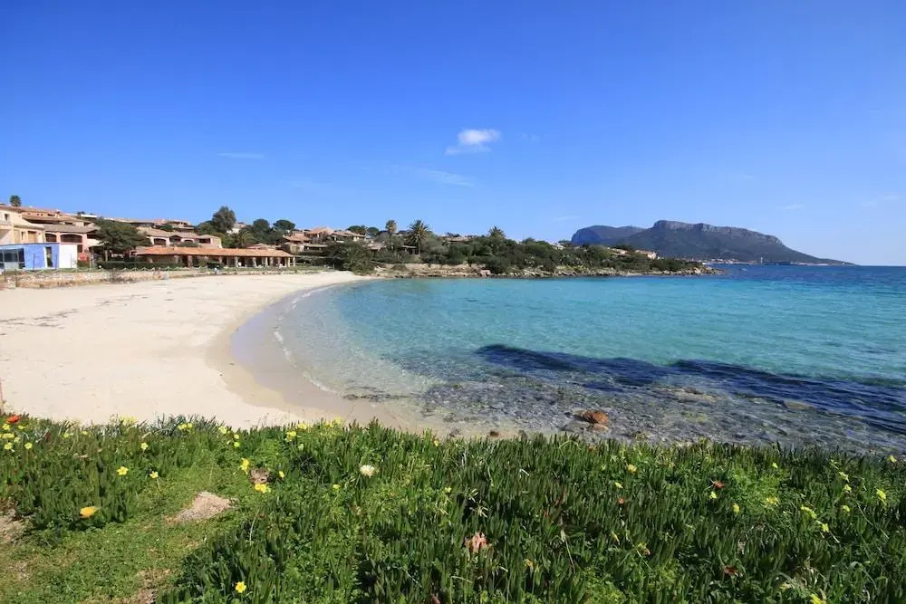 SAbba e Sa Pedra - Your House in Sardinia