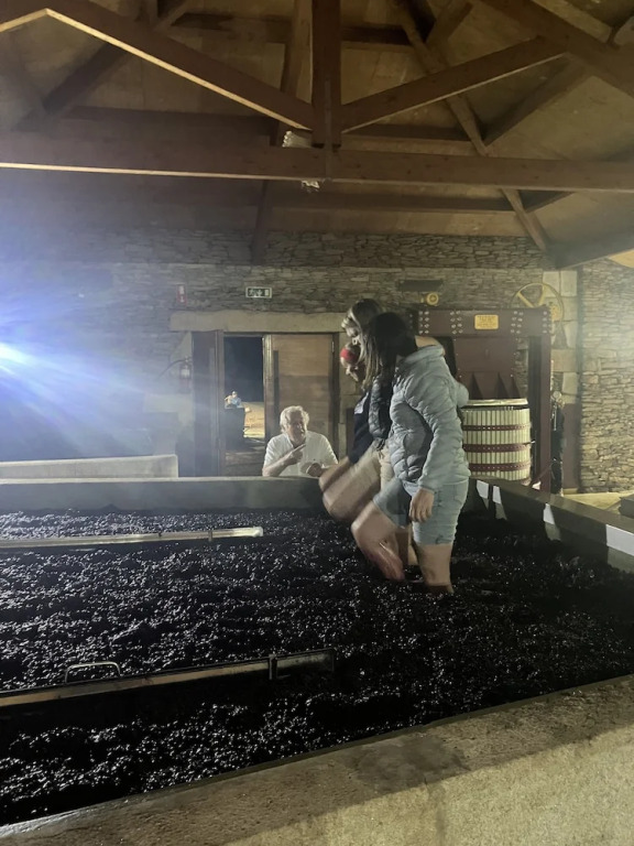 QUINTA DA FAISCA - Agro Turismo