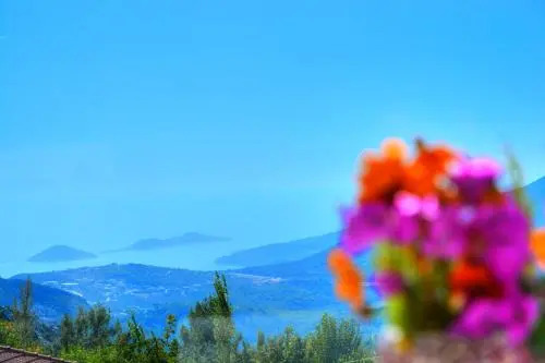 Villa Amor