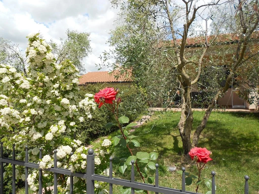 Poggio Degli Olivi
