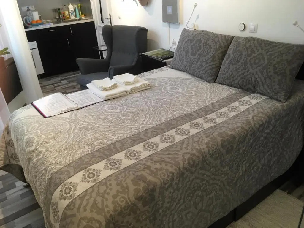 Astoria Double-Studio Interior serviced apartment