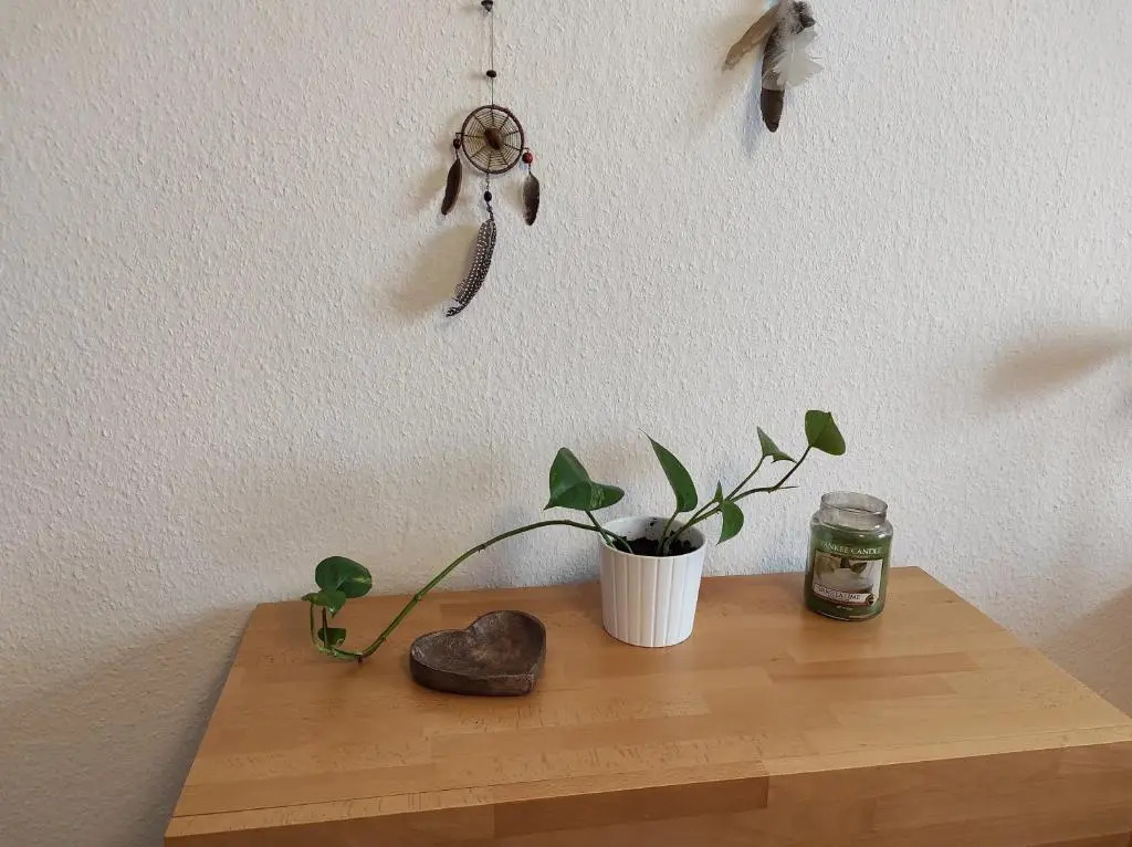 Traumhaftes Zwei-Zimmer-Apartment an der Elbe