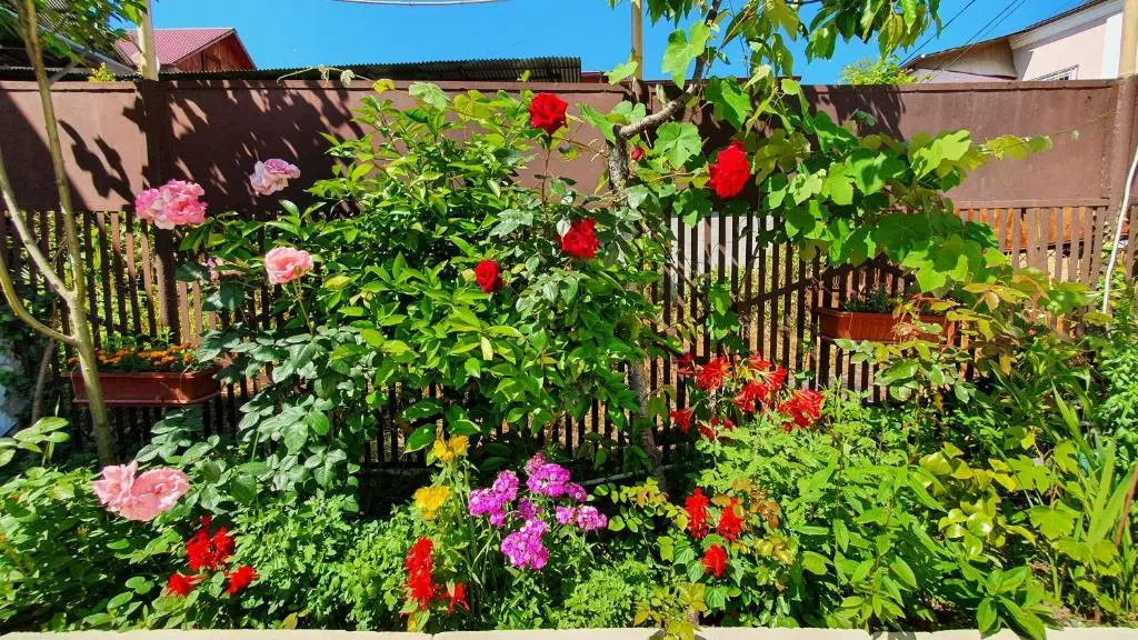 Guest house Ziemfira
