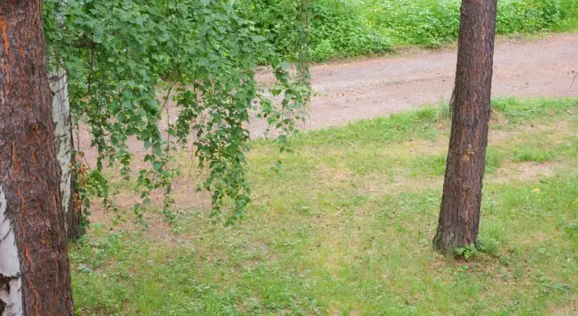 Комплекс Эдельвейс