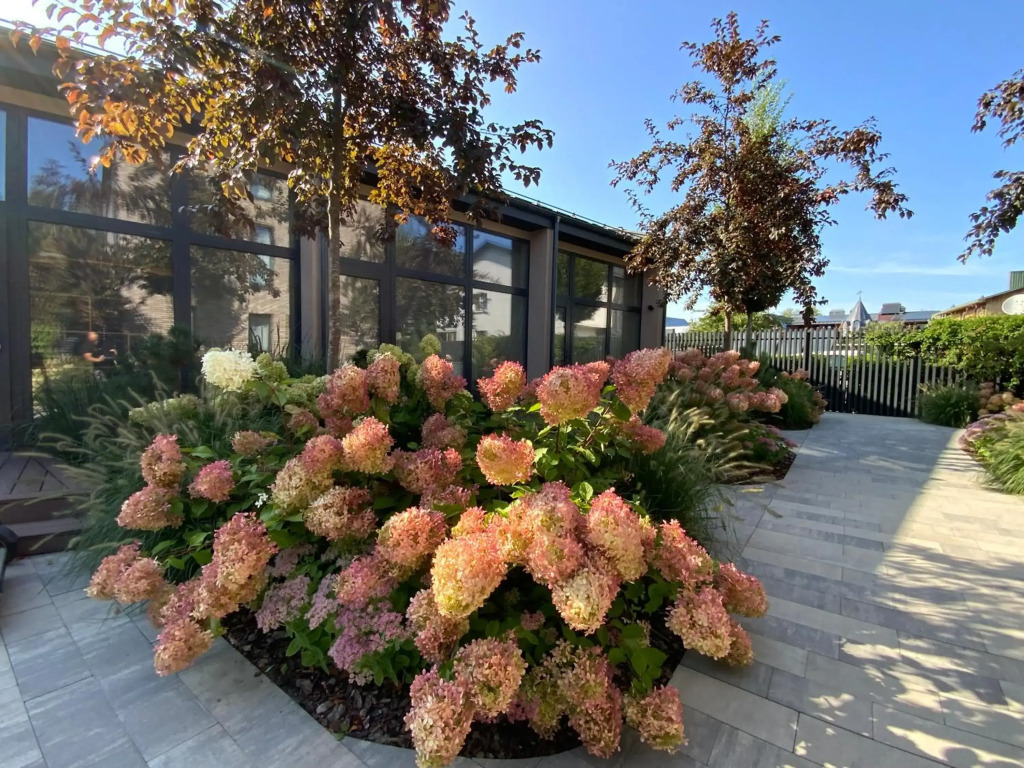Salt Garden Apartments