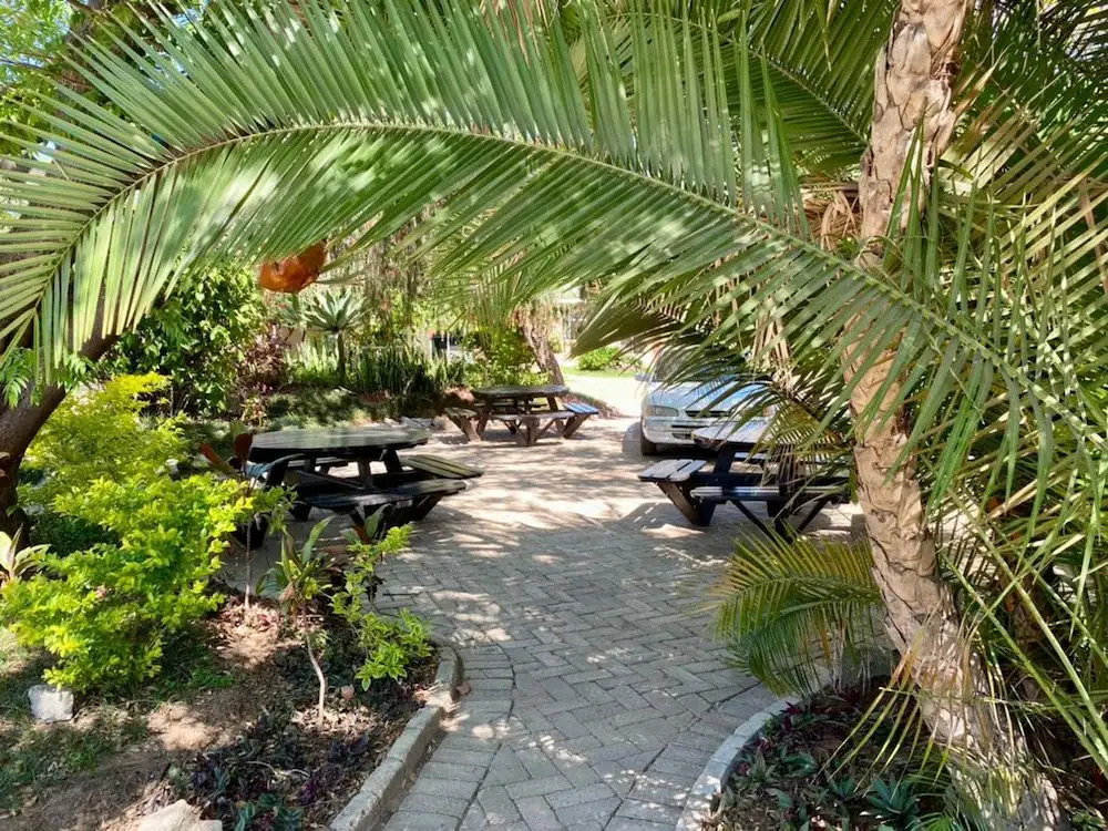 Poolside Executive Suite Near Airport - 2322