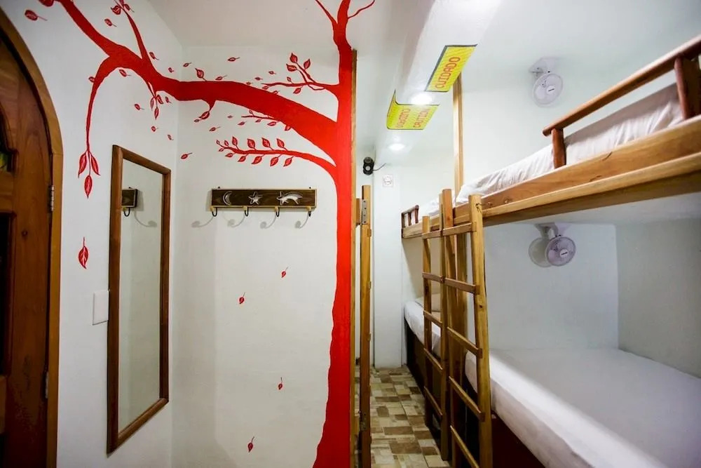 Hostel Natura
