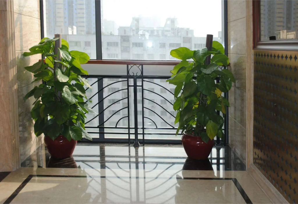 Bangtai International Apartment