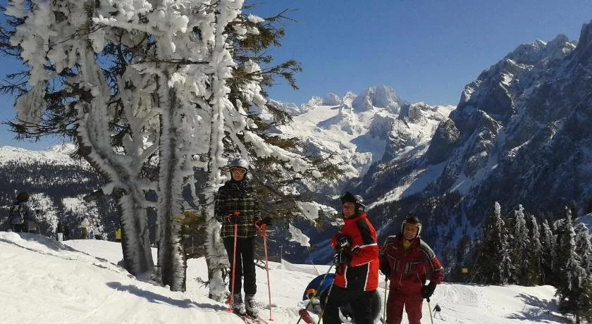 Landhaus Schwaighofer Dachstein West
