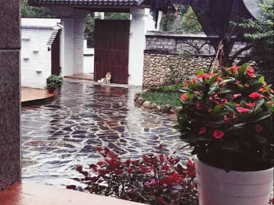 Wutong Shouwang Hostel