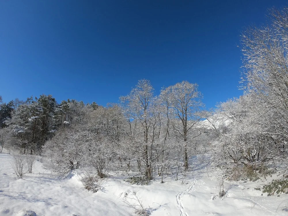 Hakuba Hokujo