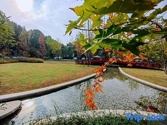 Weihe Jinhui Conference Center