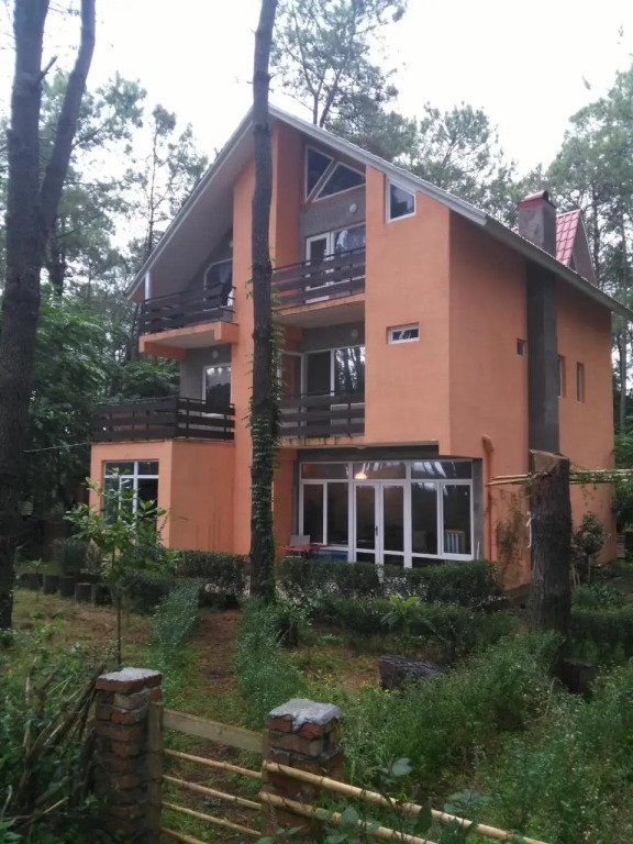 House at Shekvetili Beach