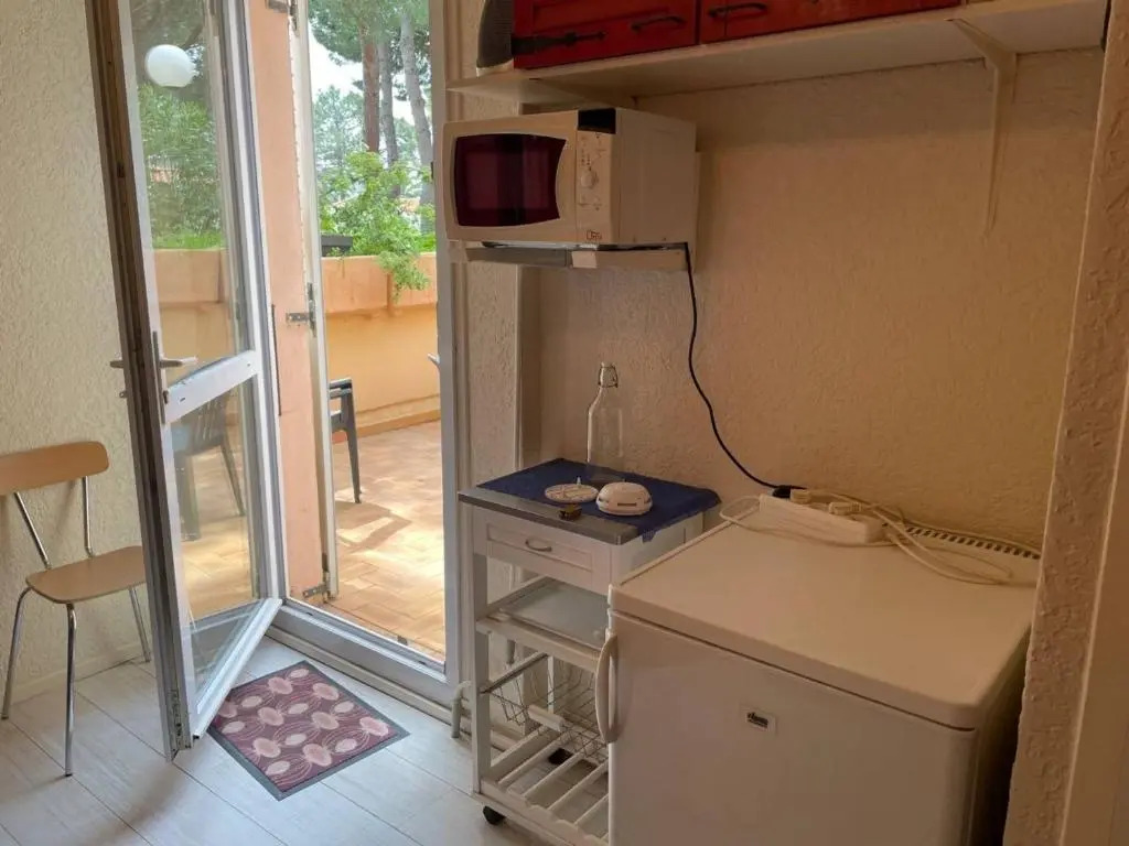 Appartement Argelès-sur-Mer, 1 pièce, 2 personnes - FR-1-225-449