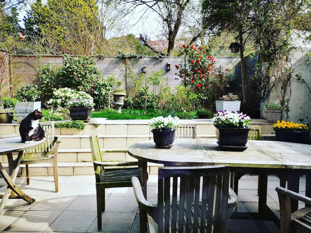 B&B Het Leuvens Hof