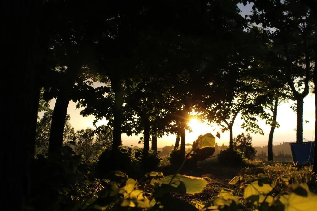 Villa Mirella Country House