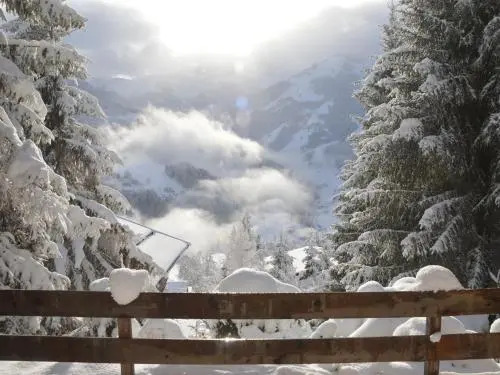 Chalet Sonnberg