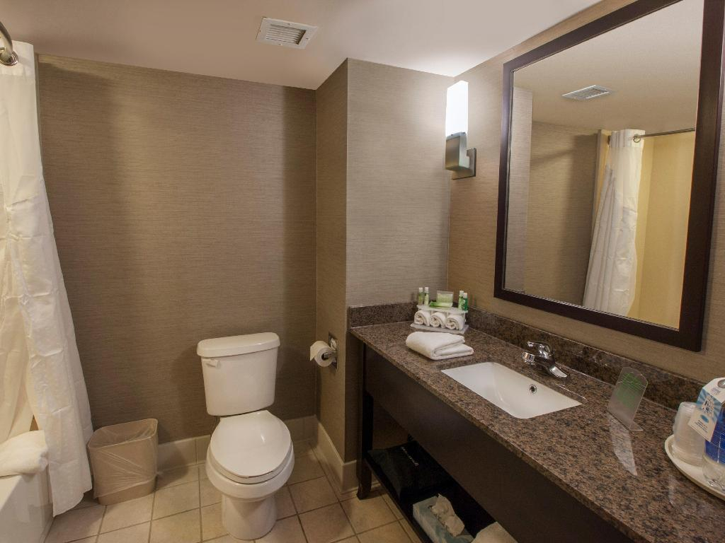 Holiday Inn Express & Suites Buffalo Airport by IHG
