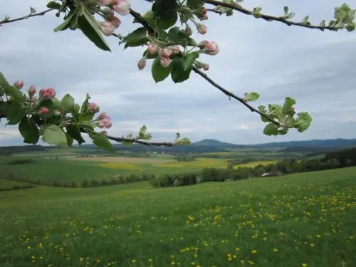 Die Einkehr