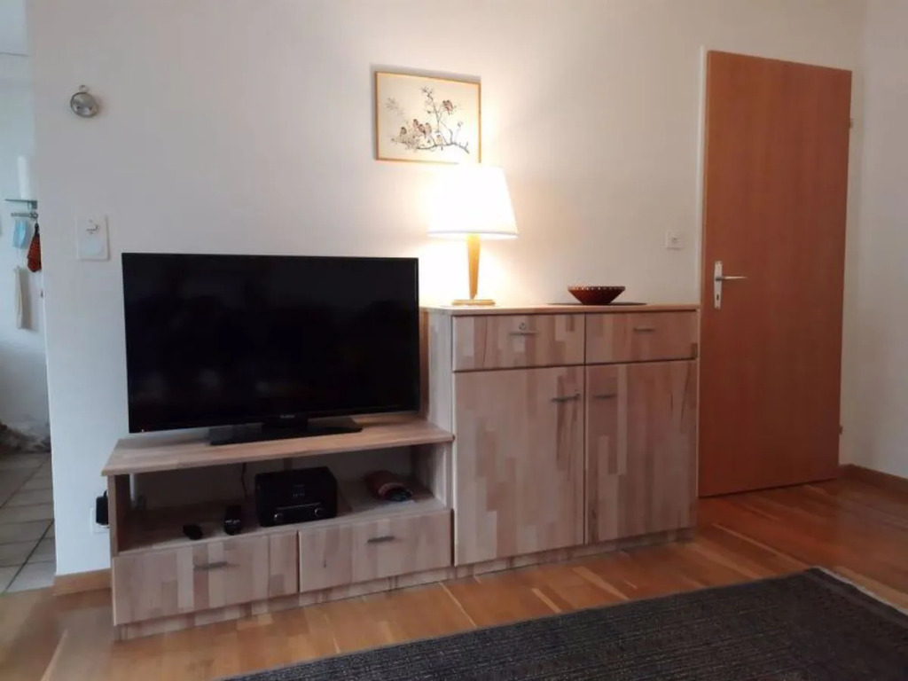 Apartment Mösli - Zimmerli by Interhome