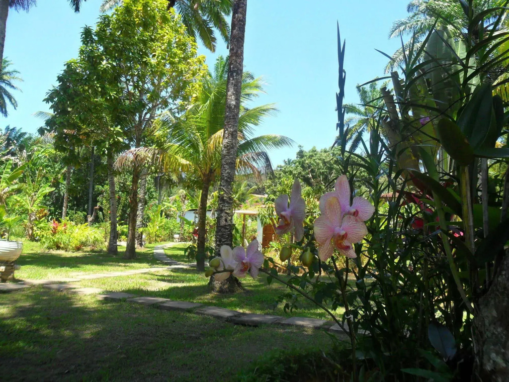 Village do Dendê Chalés