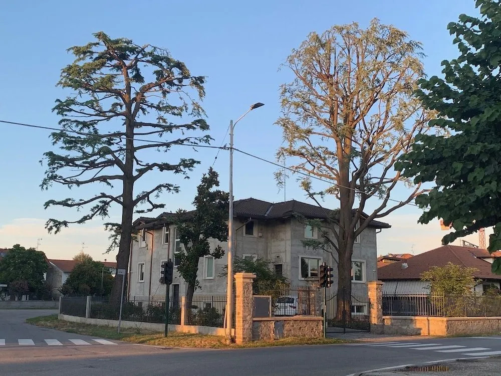 Casa Ananda