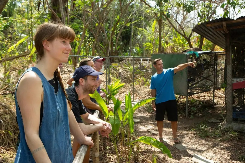 Jungle Lodge at Wild Sun Rescue Center