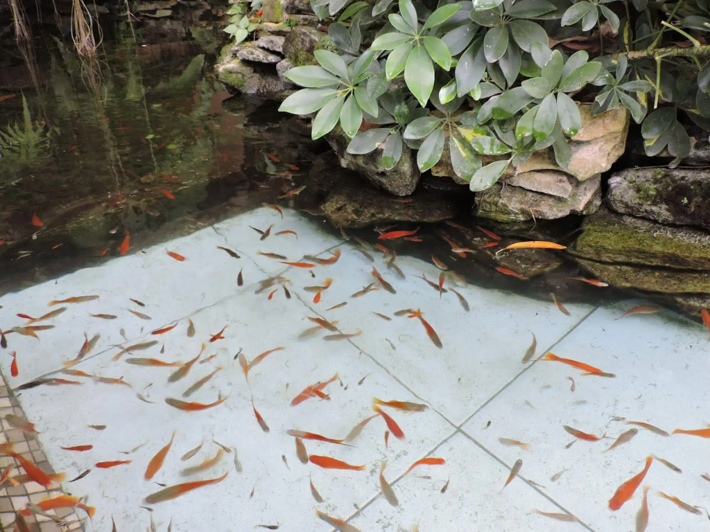 Dao Diamond Hotel & Restaurant