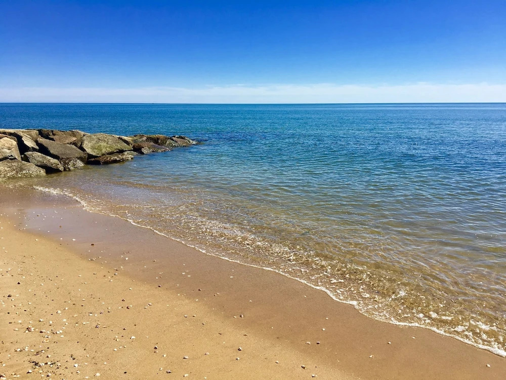 Kingfisher Oceanside